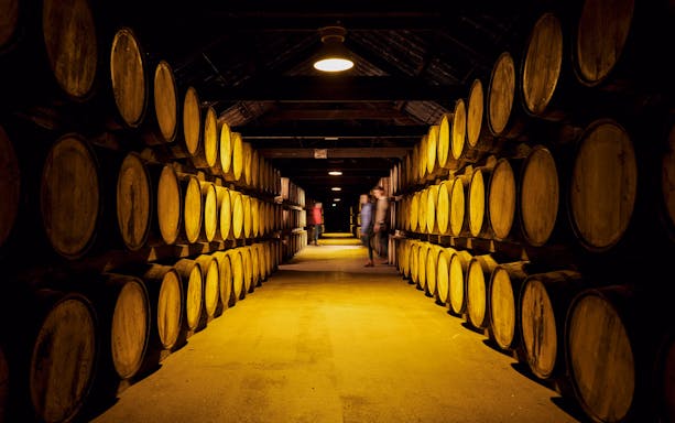 Barrels aging whiskey in Midleton Distillery maturation warehouse, Ireland.