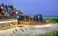 Phillip Island Nature Park Tips Top 11 Tips Everyone Should Know Phillip Island Nature Park Tips Top 11 Tips Everyone Should Know