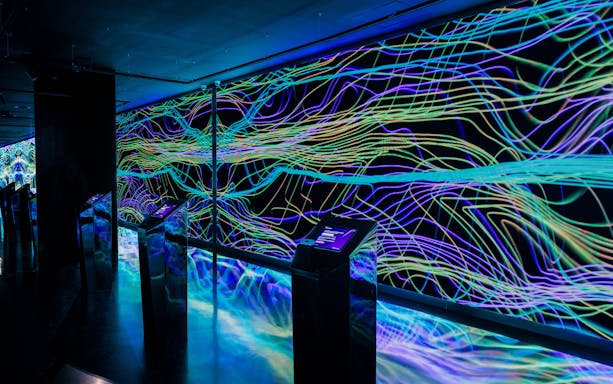 Interactive digital art installation at Moco Museum Barcelona with vibrant neon lines.