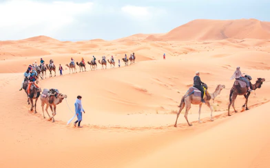 Camel caravan trekking through Merzouga dunes, Morocco.