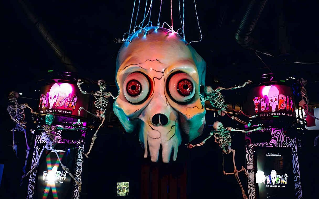 Giant skull and skeletons at Phobia exhibit, Science Centre Singapore.