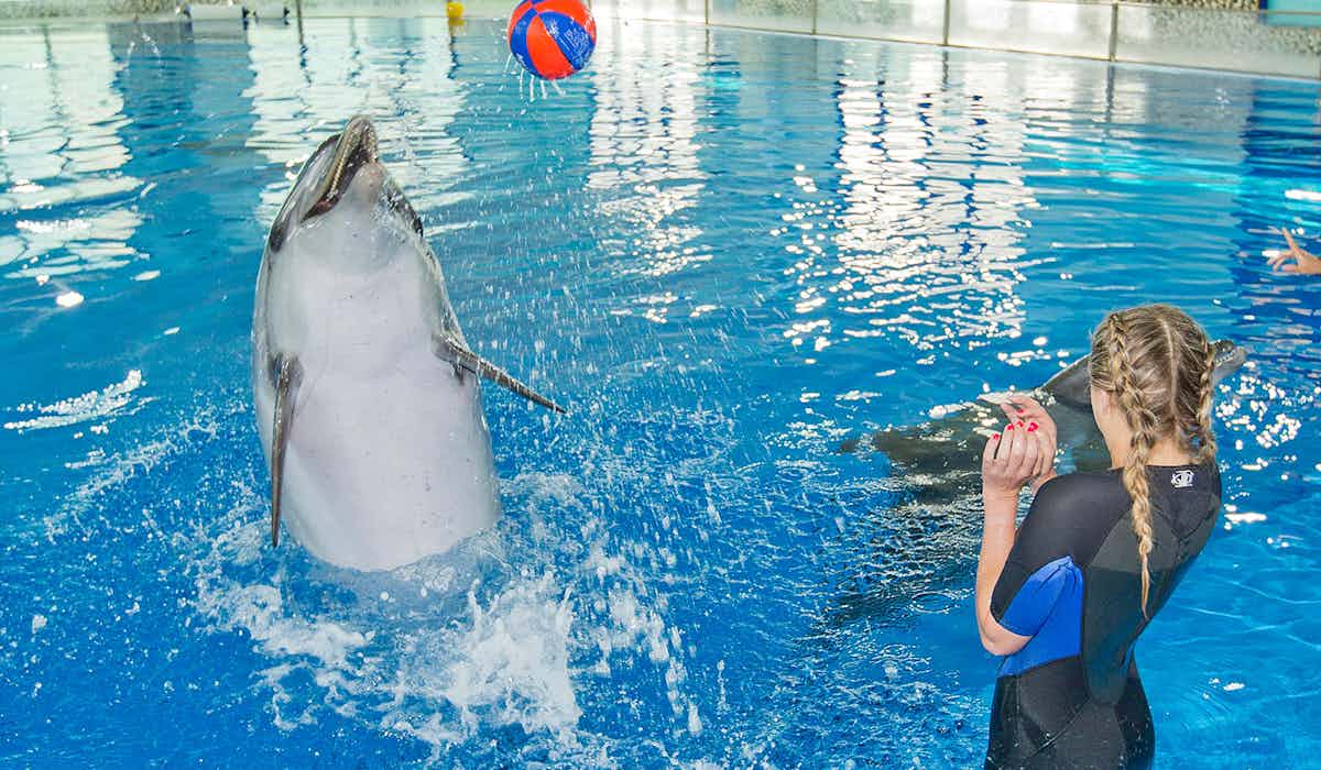 Dubai Butterfly Garden