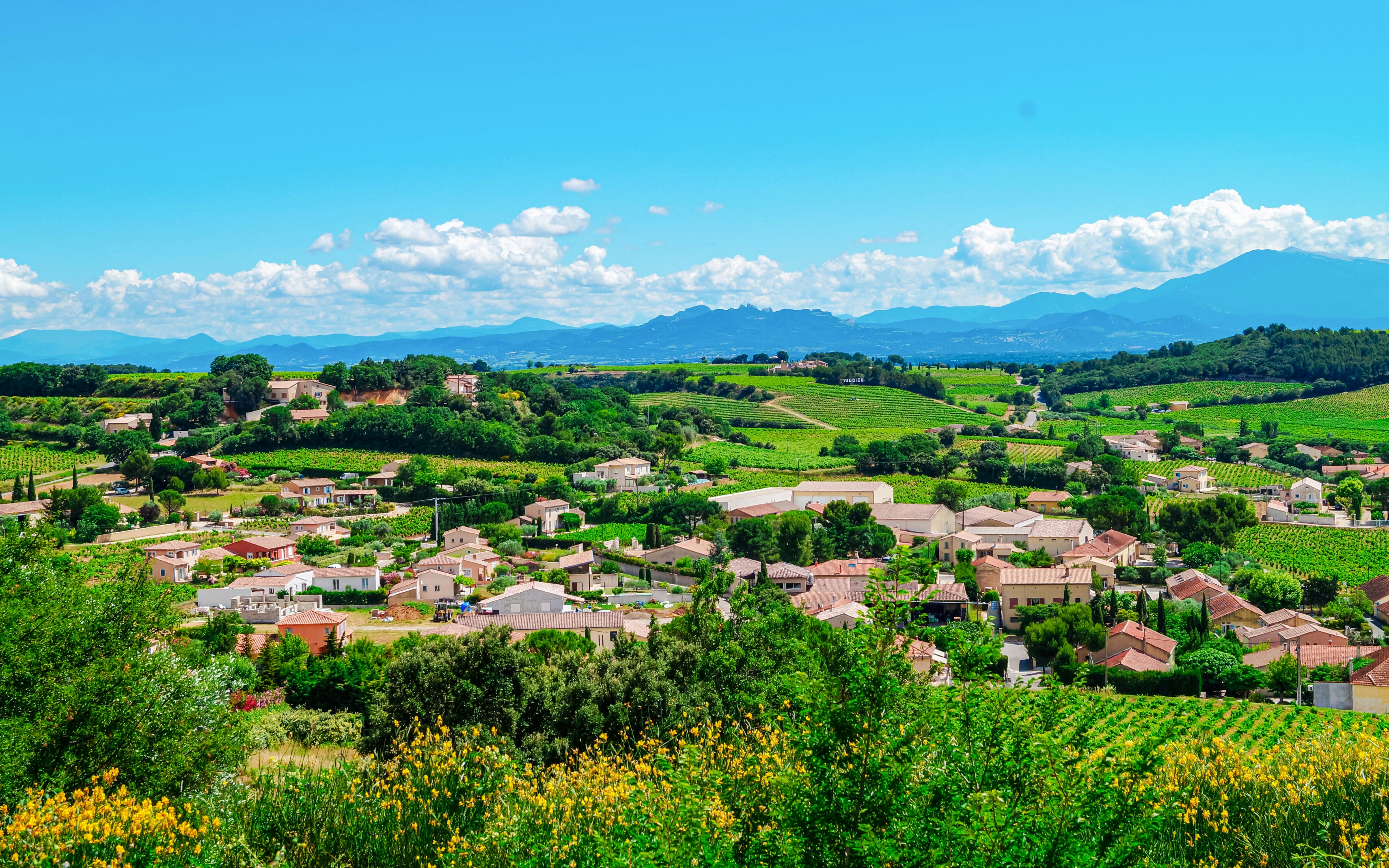 Vineyards and village landscape in Châteauneuf-du-Pape, France.