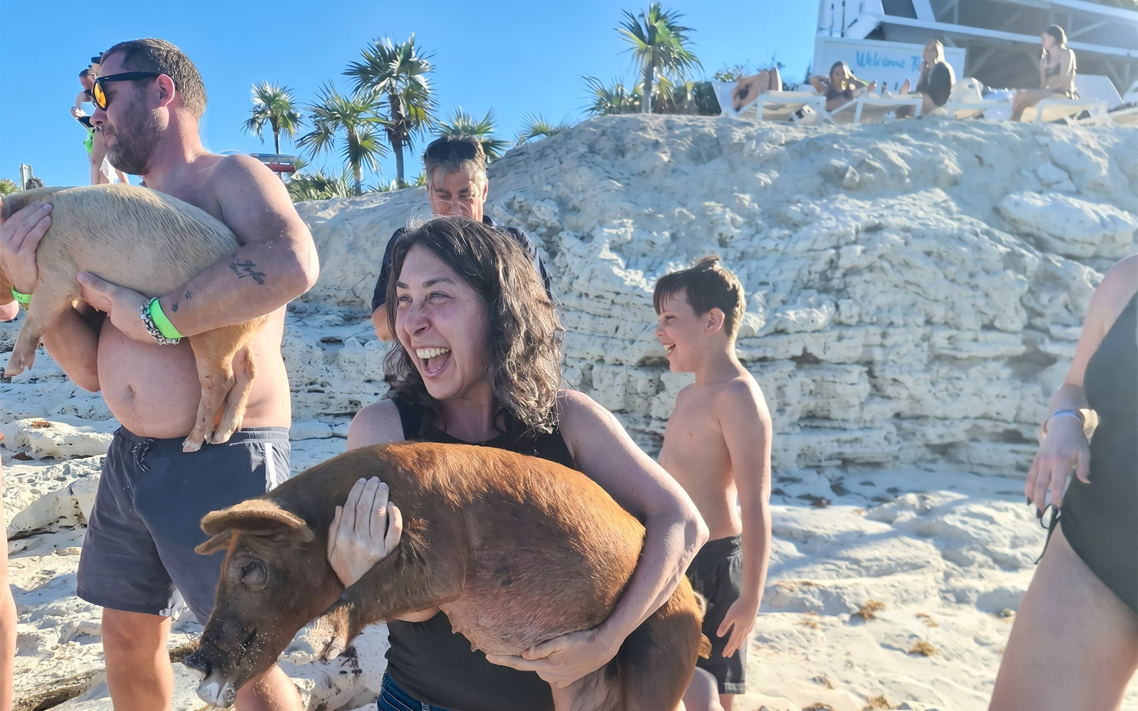 People enjoying swimming with pigs on Rose Island beach.