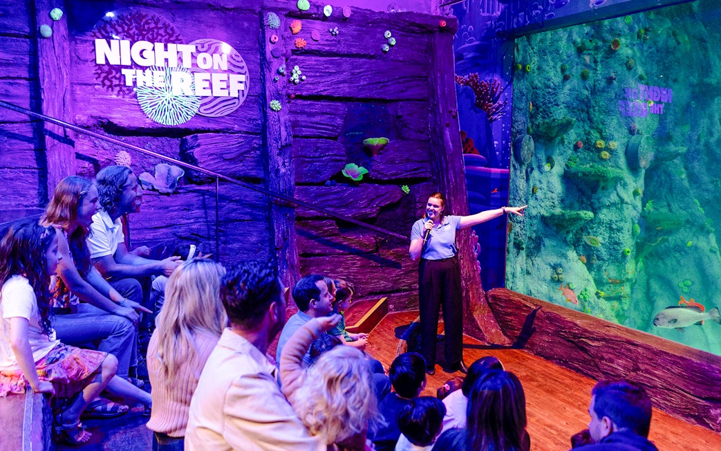 Guide speaking to visitors at SEA LIFE Melbourne's Night on the Reef exhibit.