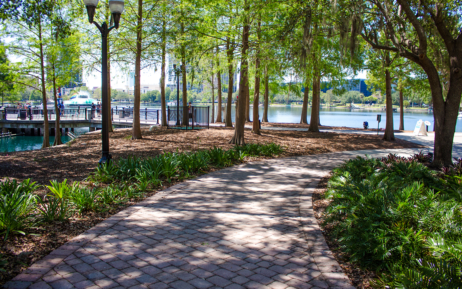 Garden path in nature, orlando