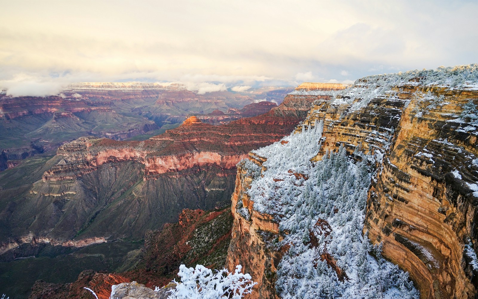 Snow-covered cliffs at the Grand Canyon with a view of the expansive canyon landscape.