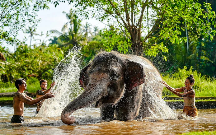 Friends enjoying elephant mud bath at Bali Zoo.