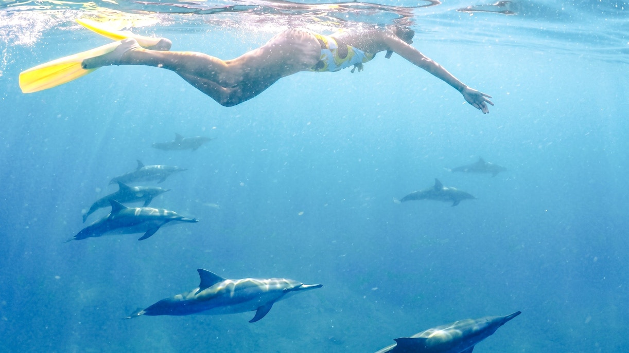 Snorkeler swimming with dolphins in clear waters of Mauritius.