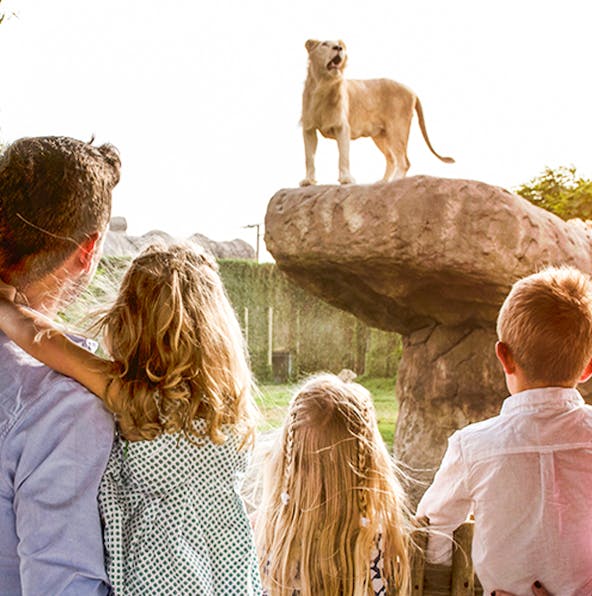 Exploring what’s inside Dubai Safari Park: Top attractions