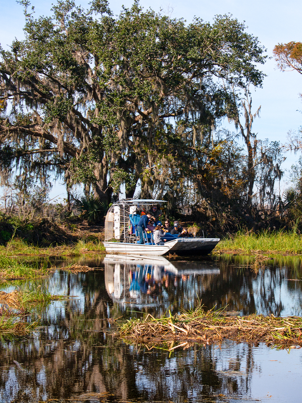 New Orleans Swamp Tours