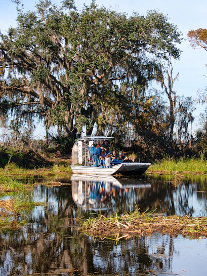 Airboat tour searching for alligators in New Orleans swamp.
