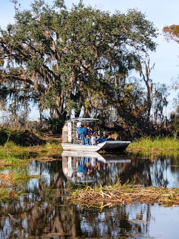 Airboat tour searching for alligators in New Orleans swamp.
