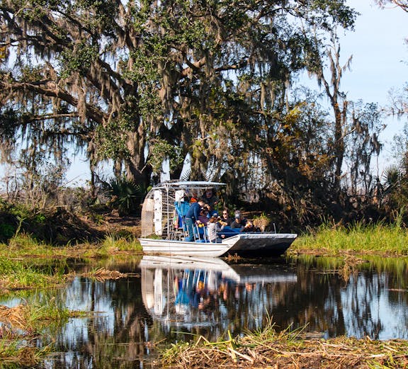 Airboat tour searching for alligators in New Orleans swamp.