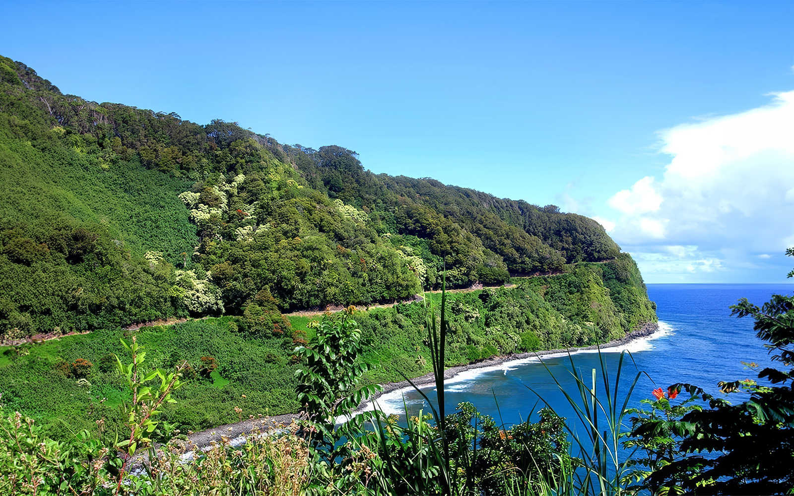 Road to Hana coastal view with lush greenery and ocean, Haiku, Maui, Hawaii.