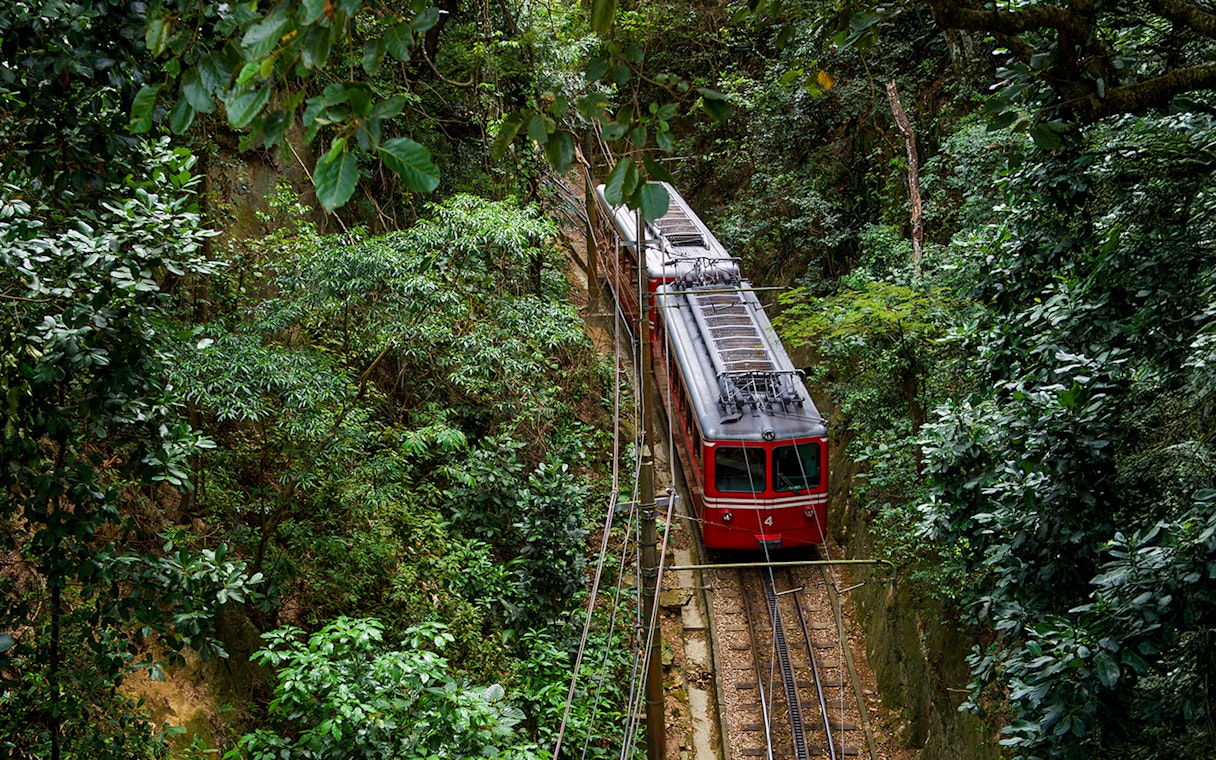 Train traveling through Tijuca Rainforest, Brazil, surrounded by lush greenery.