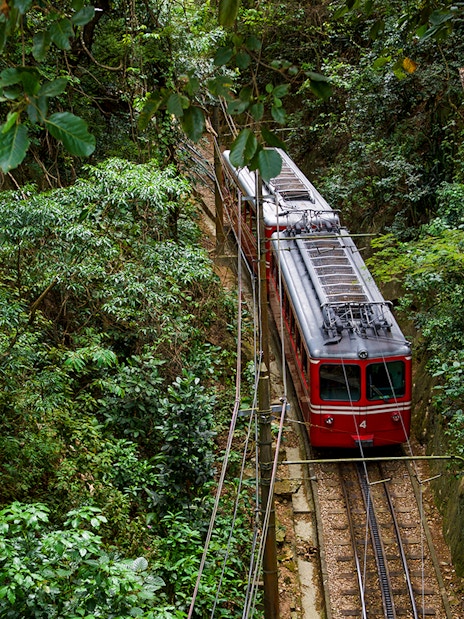 Train traveling through Tijuca Rainforest, Brazil, surrounded by lush greenery.