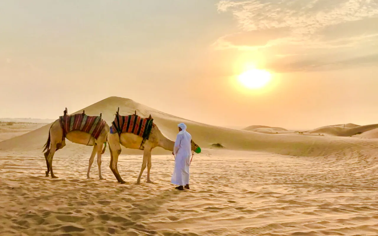 safári no deserto de dubai com passeio em 4x4 nas dunas, passeio de camelo, jantar com churrasco, shows ao vivo e traslados do hotel-6