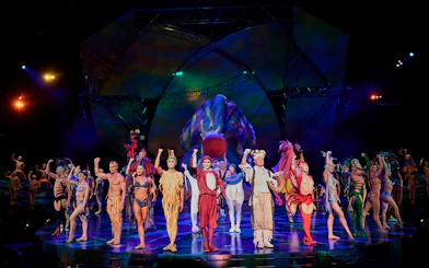 Performers in colorful costumes on stage during Mystère show.