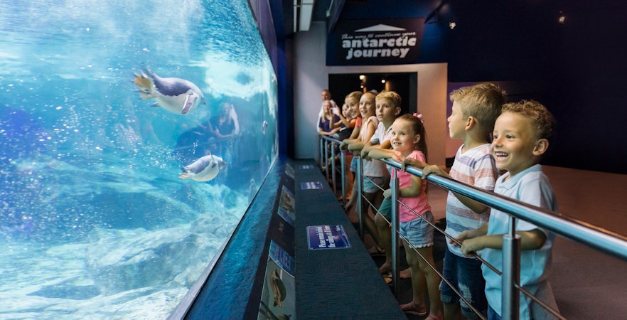 Gold Coast School Holiday Favorites