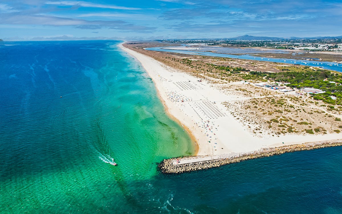 full-day private guided cruise in ria formosa-4 full-day private guided cruise in ria formosa-4