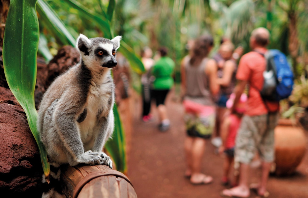 Oasis Wildlife Fuerteventura Tickets
