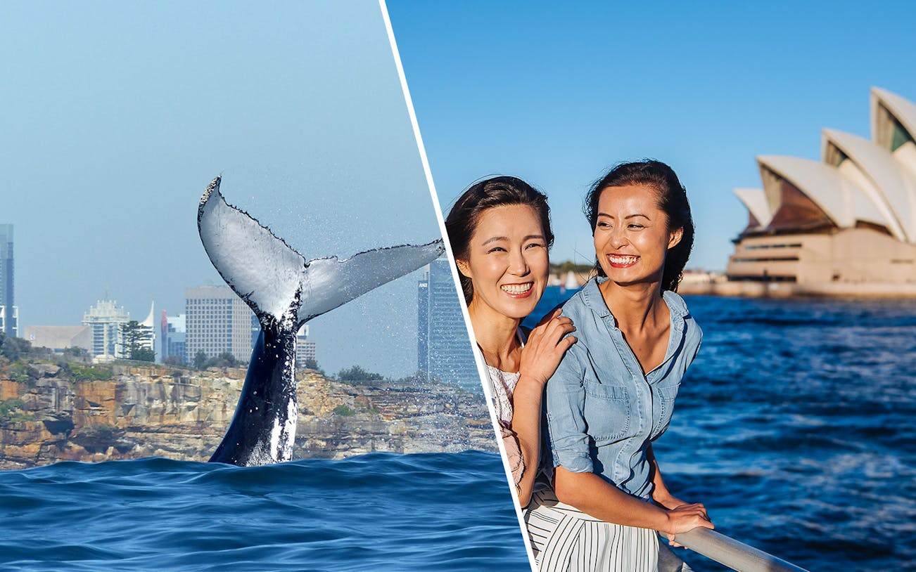 Whale tail in Sydney Harbour and two women smiling with Sydney Opera House in background.