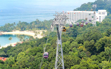 Aerial view of Singapore cityscape from cable car, featuring lush greenery and coastal scenery.