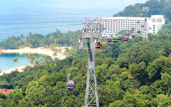 Aerial view of Singapore cityscape from cable car, featuring lush greenery and coastal scenery.
