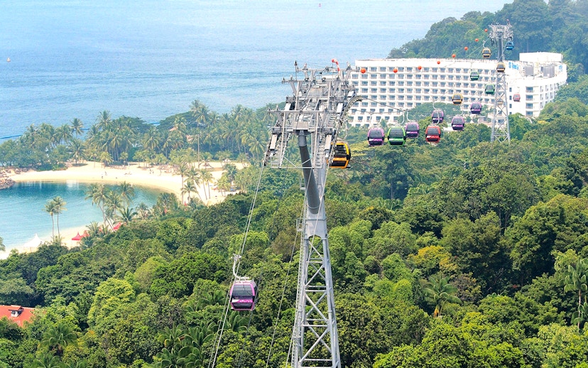 Aerial view of Singapore cityscape from cable car, featuring lush greenery and coastal scenery.