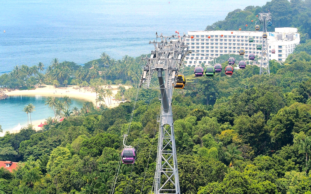 Aerial view of Singapore cityscape from cable car, featuring lush greenery and coastal scenery.