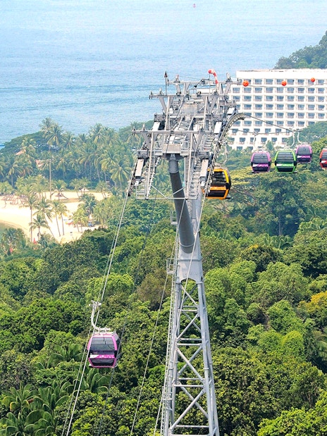 Aerial view of Singapore cityscape from cable car, featuring lush greenery and coastal scenery.