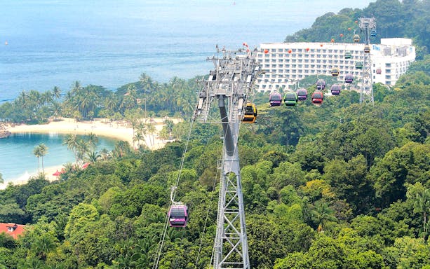 Aerial view of Singapore cityscape from cable car, featuring lush greenery and coastal scenery.
