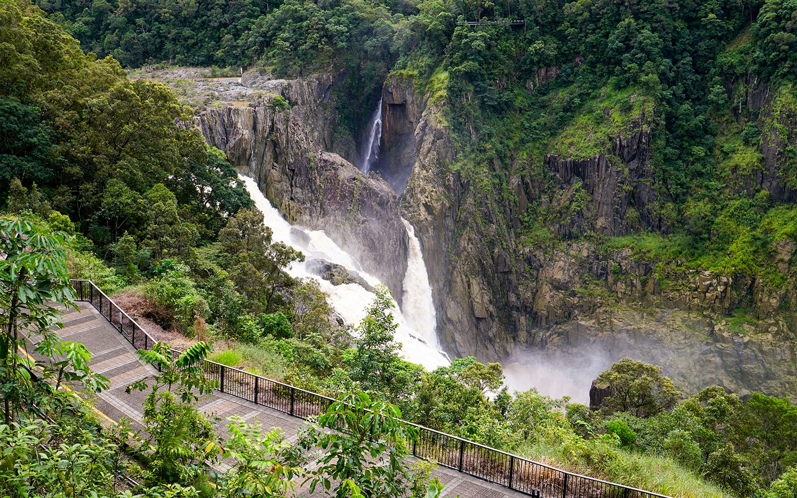Barron Falls view from Kuranda Scenic Railway, surrounded by lush rainforest in Queensland, Australia.