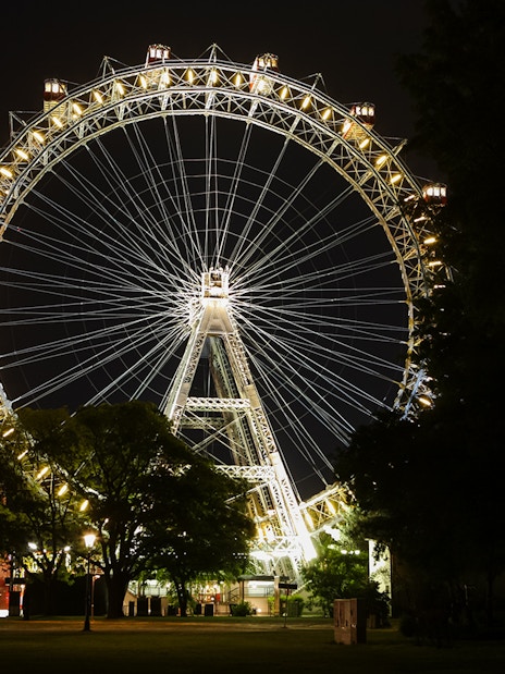 Giant Ferris Wheel in Vienna illuminated at night with trees in the foreground.