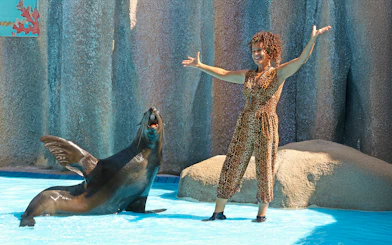 Seal performing with trainer at Aquatic Seal Show, Zoomarine Algarve.