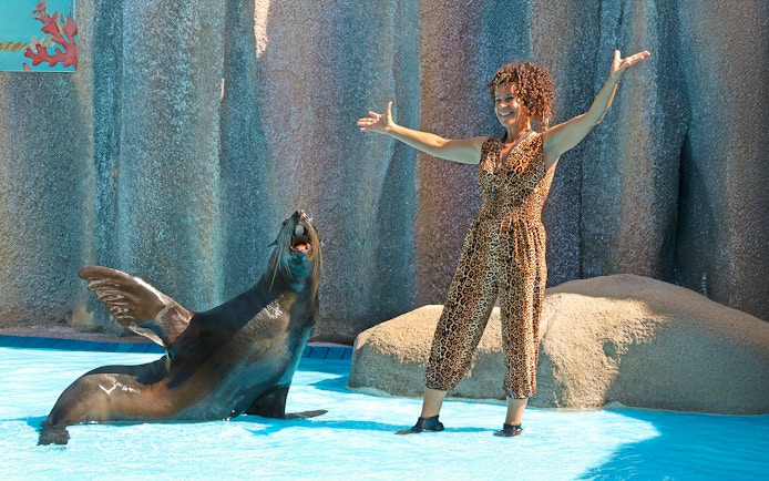 Seal performing with trainer at Aquatic Seal Show, Zoomarine Algarve.