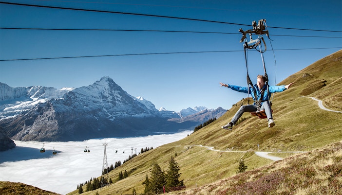 Tourists ziplining at First Flyer, Grindelwald First, Switzerland, with scenic mountain backdrop.