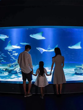 Family viewing stingrays at Aqua Planet 63 aquarium.