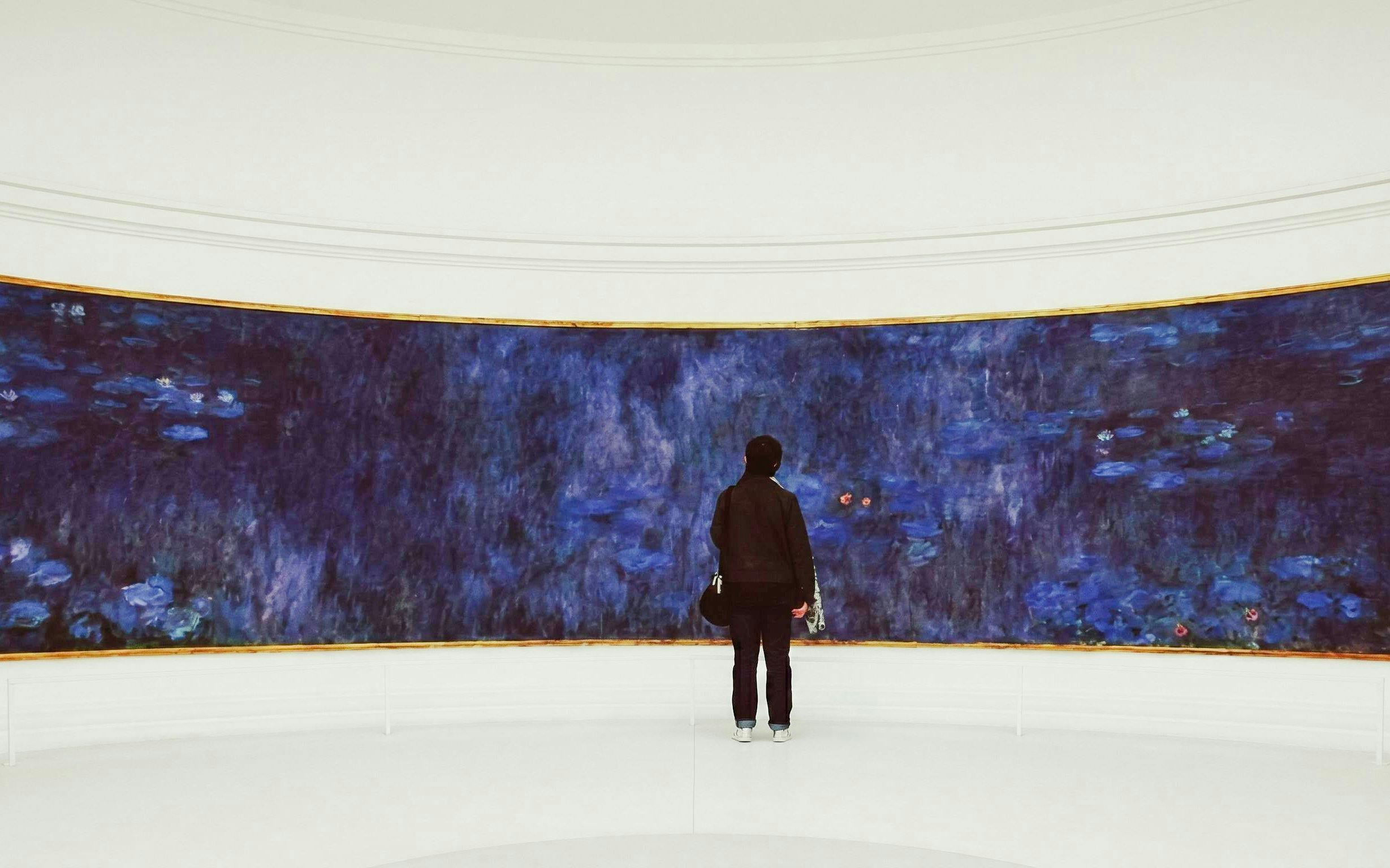 Visitor admiring Monet's Water Lilies at Musée de l’Orangerie, Paris.