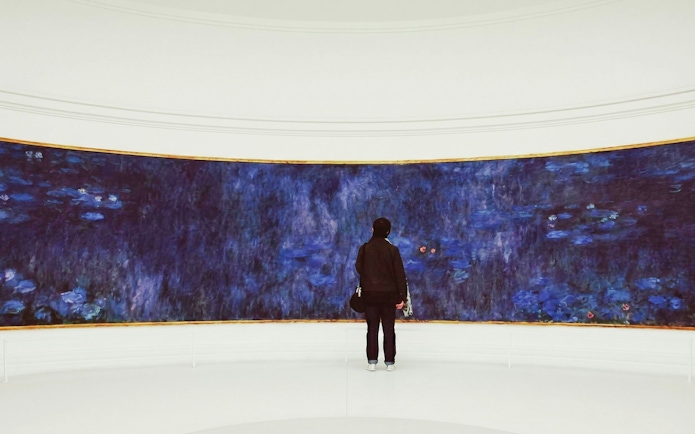 Visitor admiring Monet's Water Lilies at Musée de l’Orangerie, Paris.