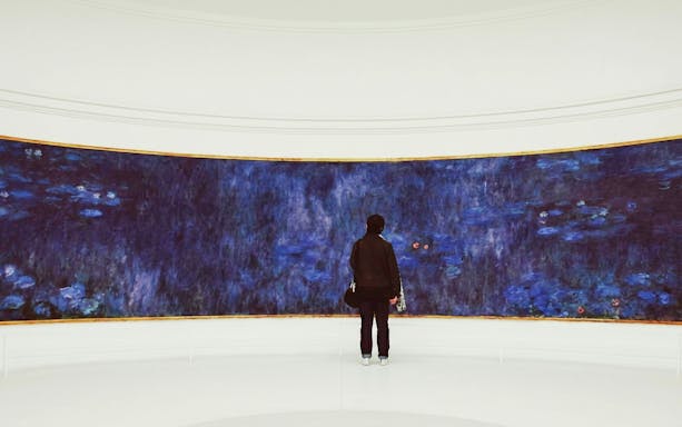 Visitor admiring Monet's Water Lilies at Musée de l’Orangerie, Paris.