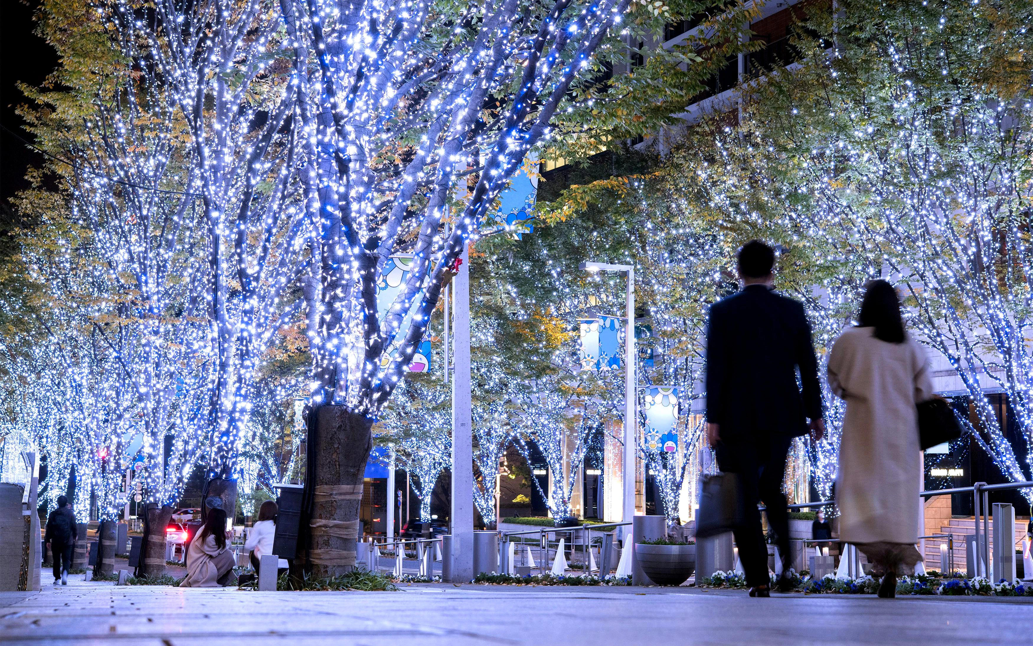 Illuminated trees along Roppongi Keyakizaka Street in Tokyo during winter.