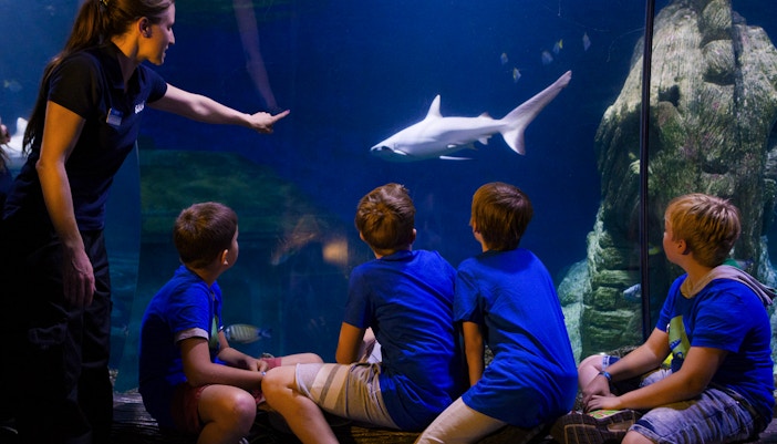Ocean Champion Academy at SEA LIFE Timmendorfer Strand