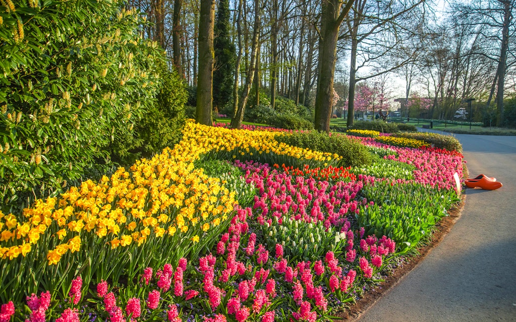 Keukenhof garden with colorful tulip beds and wooden clogs, Amsterdam day trip.