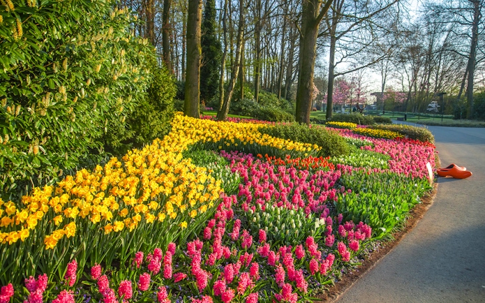 Keukenhof garden with colorful tulip beds and wooden clogs, Amsterdam day trip.