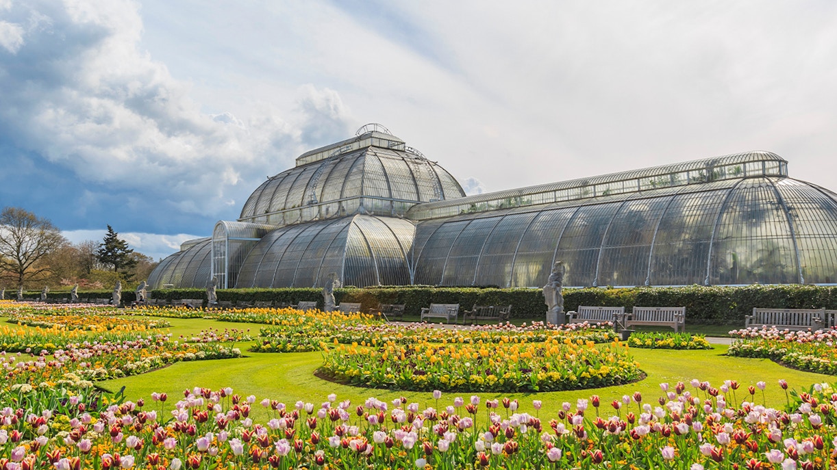 Kew Gardens glasshouse interior with exotic plants, London.