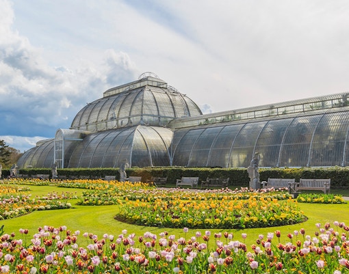 Kew Gardens glasshouse with vibrant tulip beds in London.