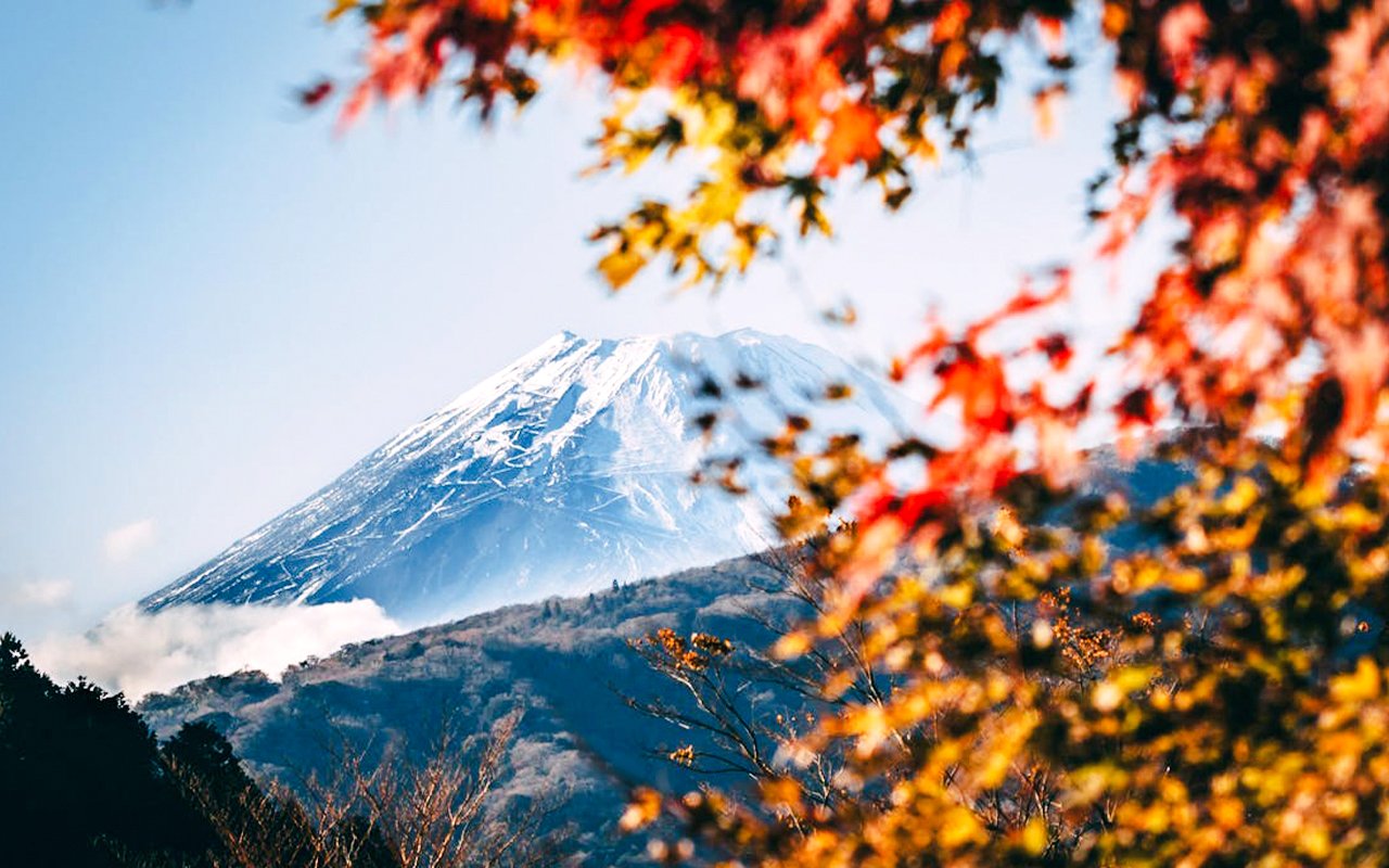 Mount Fuji framed by autumn leaves in Japan.