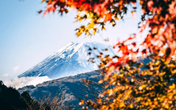 Mount Fuji framed by autumn leaves in Japan.
